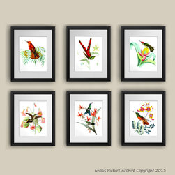 Hummingbird wall decor art prints - Products
