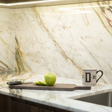 Harlem Condo Kitchen