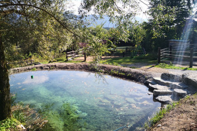 Natural pools