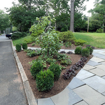 Front path garden