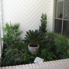 Front Landscape