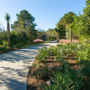 Wild Dunes Contemporary Garden Renovation