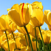 Julie Begani's photo