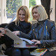 Springbok and Rose Interior Design Springbok and Rose Interior Design