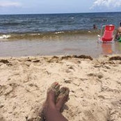 Judy Dolce's photo
