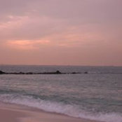 Noor Alshams's photo