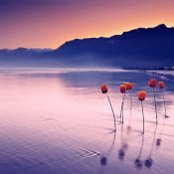 SH Mohsenzadeh's photo