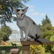 Claire Corkill's photo