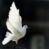 Nahla Othman's photo