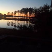 Leigh Payne's photo