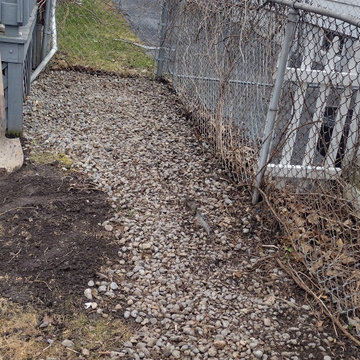 Regina's Dog-Friendly Yard