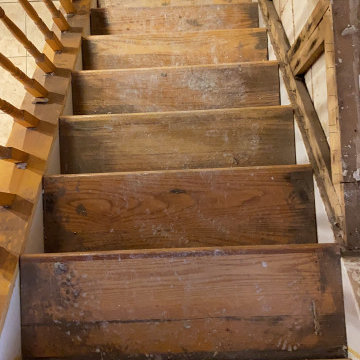 Basement Renovation