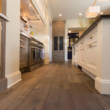 Kitchen Remodel - Lake Forest IL