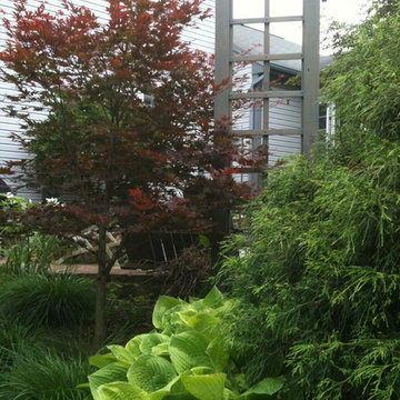 Spring in the Garden