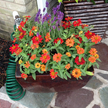 Container Gardens