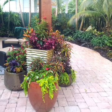 Colorful Containers