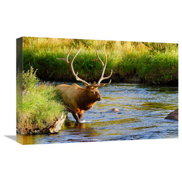"Bull Elk in the Stream" by Vic Schendel, 22"x15"