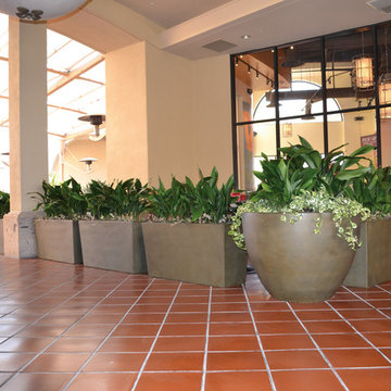 Landscape Containers, Planters and Pottery