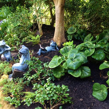 garden ideas