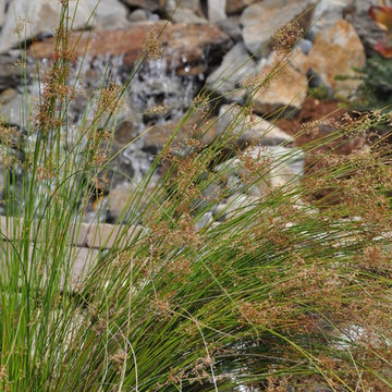 CLCA Landscape Beautification Award Winner 2014