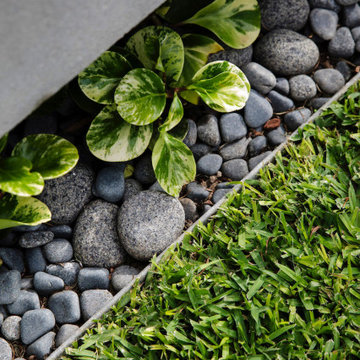 Backyard Transformation in Sherman Oaks - Pool, Kitchen Area & Paving