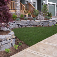 Outdoors-Front Yard