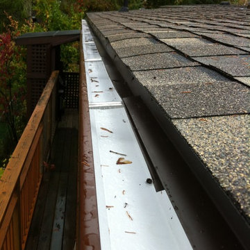 Eavestroughs and Leaf Guards