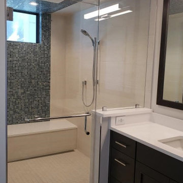 Inline Steam Enclosure with a Towel Bar / Handle Combo
