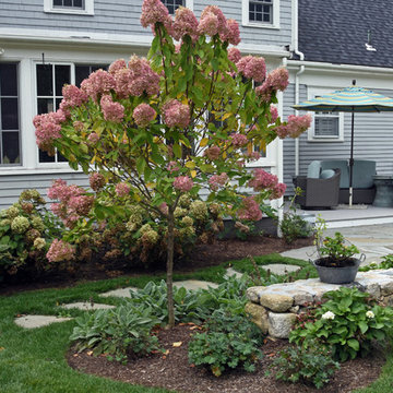 Plantings