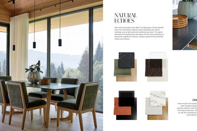Inspiration for a contemporary dining room remodel in Other