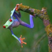 Judy Mullen's photo