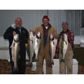 Luke Keiter's photo