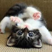 Becky Snider's photo
