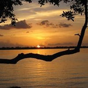Foto di Susan Eanes
