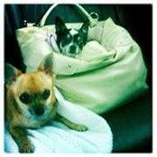 Mitzi Drysdale's photo