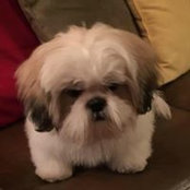 Thomas Beatty's photo