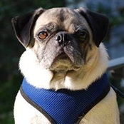 Deb Keiser's photo