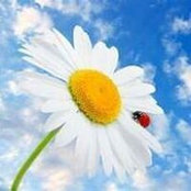Lizzie Daggs's photo