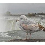 Ned Moore's photo
