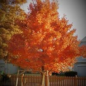 Christy Ruberry's photo