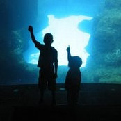 Esther Kooistra's photo