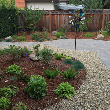 Castro Valley big dog back yard