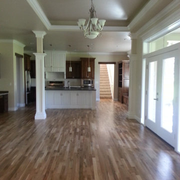 Full House Remodel