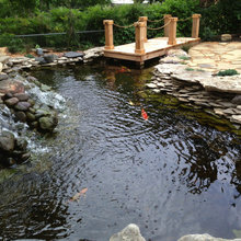 Pond