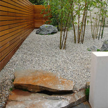 Bamboo