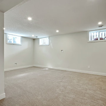 Glenwood Basement Renovation