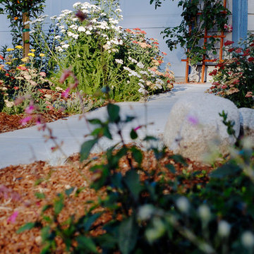 No Lawn Suburban Front Yard