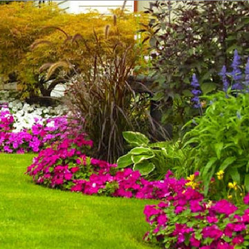 Our Work