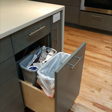 Grant Park Contemporary Kitchen Remodel