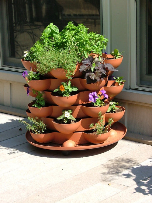 Can I plant hosta in this container?